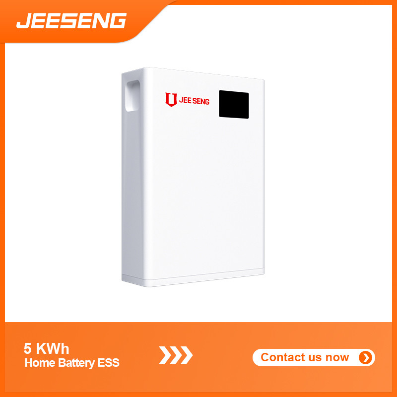 5KWh Sistema di accumulo di energia domestico montato sul muro con tecnologia BMS avanzata per il sistema di energia solare