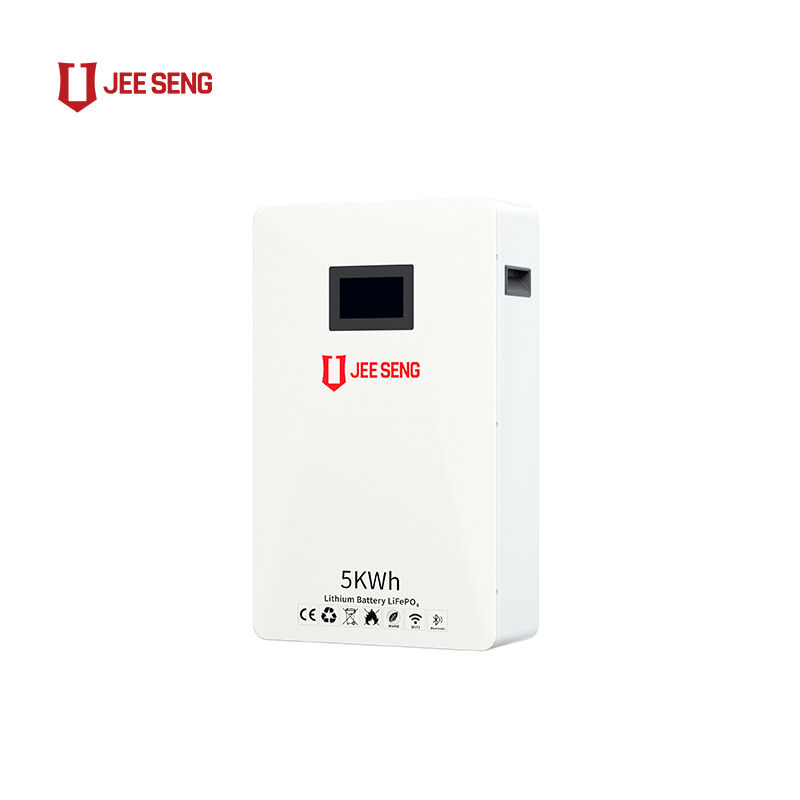 5KWh Sistema di accumulo di energia domestico montato sul muro con tecnologia BMS avanzata per il sistema di energia solare