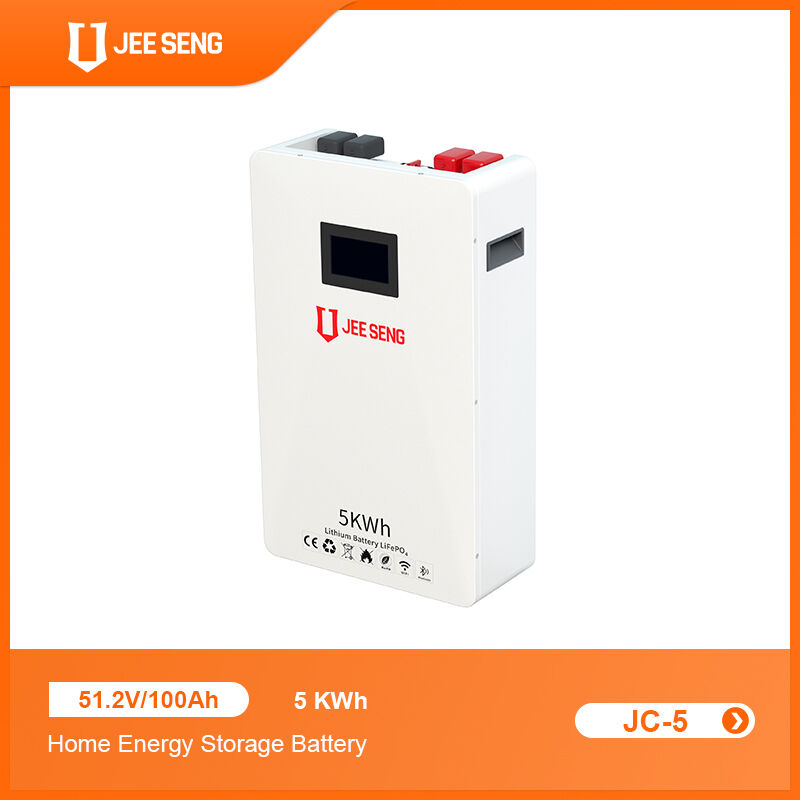 5KWh Sistema di accumulo di energia domestico montato sul muro con tecnologia BMS avanzata per il sistema di energia solare