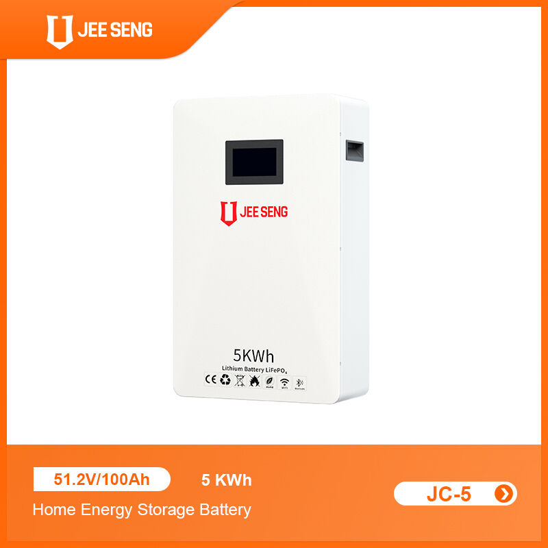 5KWh Sistema di accumulo di energia domestico montato sul muro con tecnologia BMS avanzata per il sistema di energia solare