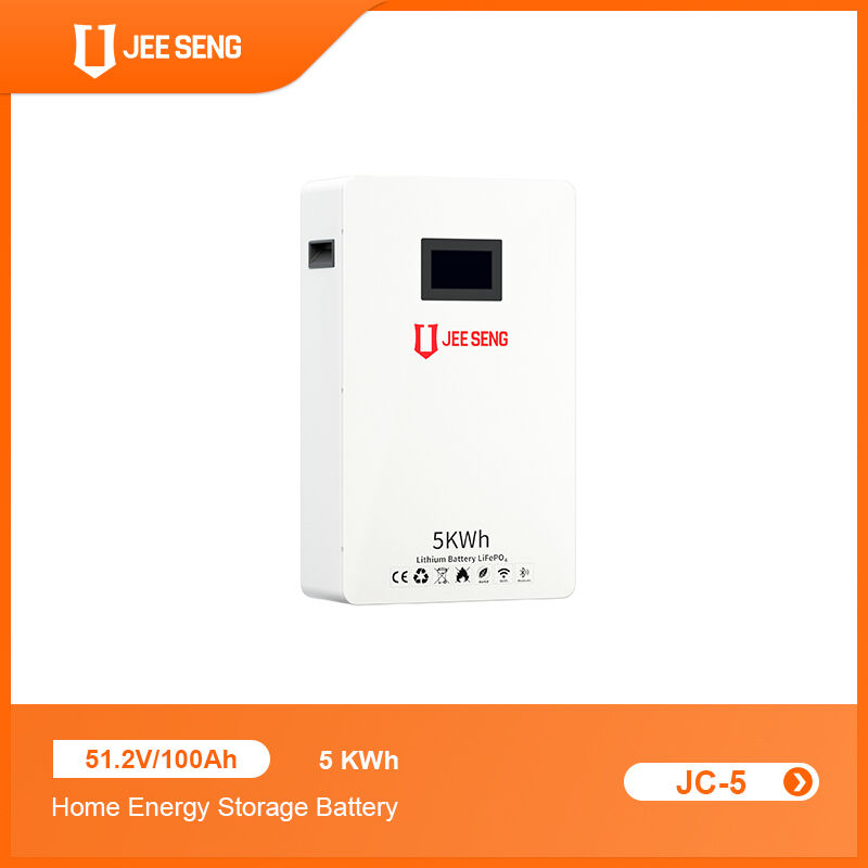 5KWh Sistema di accumulo di energia domestico montato sul muro con tecnologia BMS avanzata per il sistema di energia solare