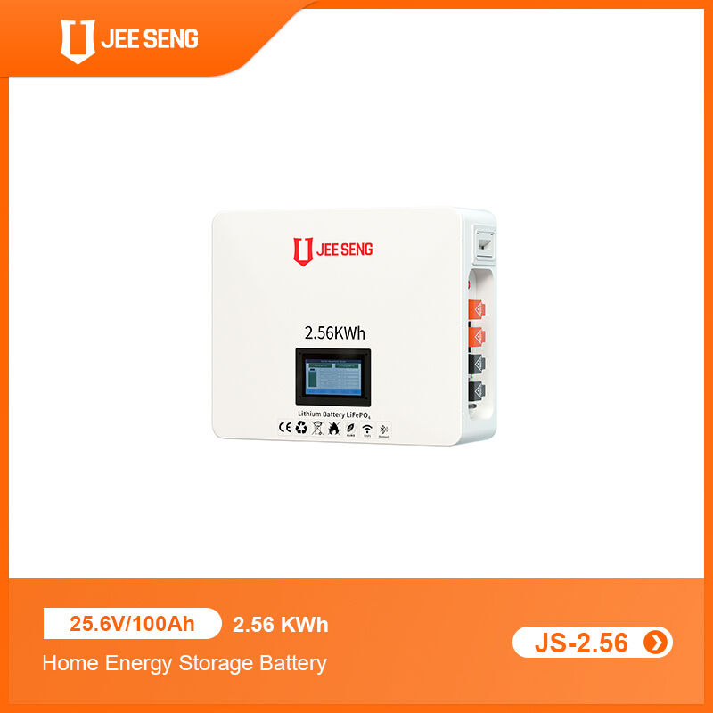 2.56KWh Sistema di accumulo di energia per la casa montato sul muro con tecnologia BMS avanzata per il sistema di energia solare