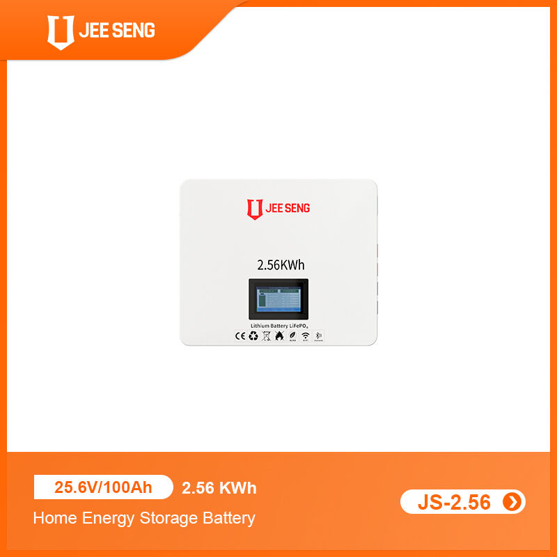 2.56KWh Sistema di accumulo di energia per la casa montato sul muro con tecnologia BMS avanzata per il sistema di energia solare