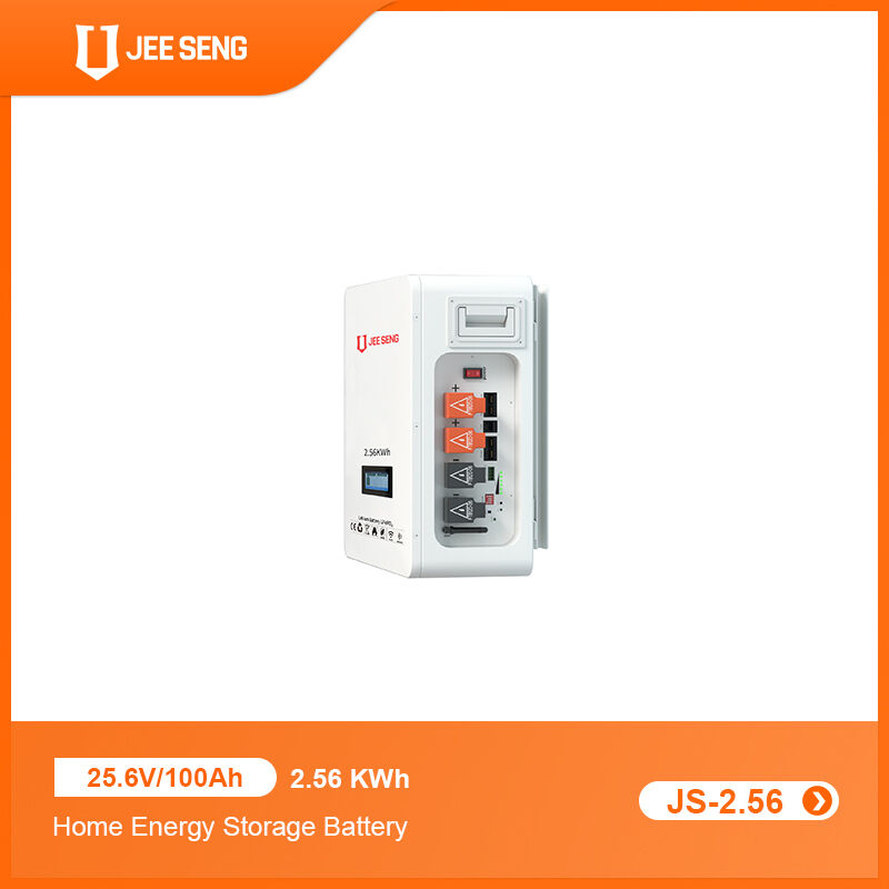 2.56KWh Sistema di accumulo di energia per la casa montato sul muro con tecnologia BMS avanzata per il sistema di energia solare