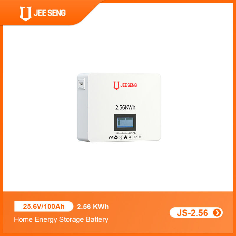 2.56KWh Sistema di accumulo di energia per la casa montato sul muro con tecnologia BMS avanzata per il sistema di energia solare